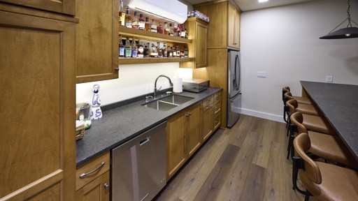 Rec Room Wet Bar