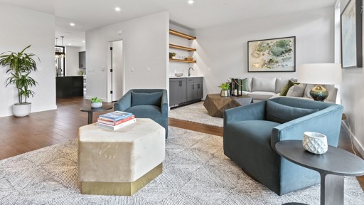 Living and Entertainment Space