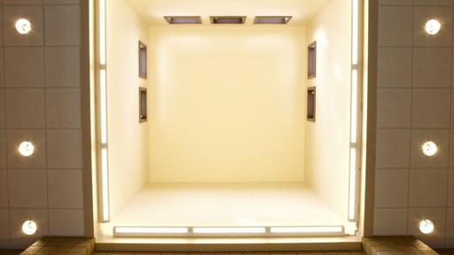 NEW Zoo - Mayan Exterior Ceiling 2